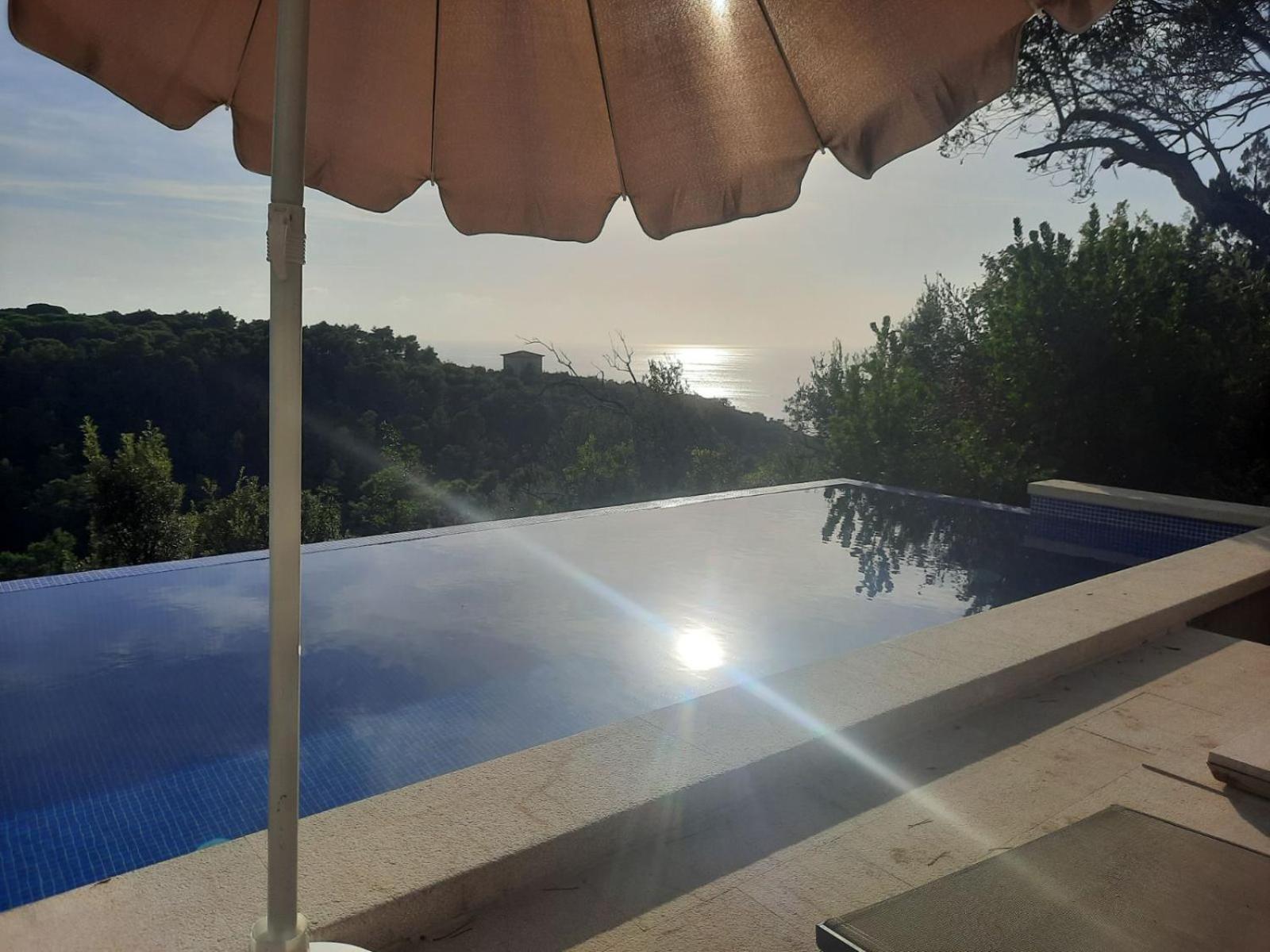Appartamento Mongoose Herceg Novi Esterno foto