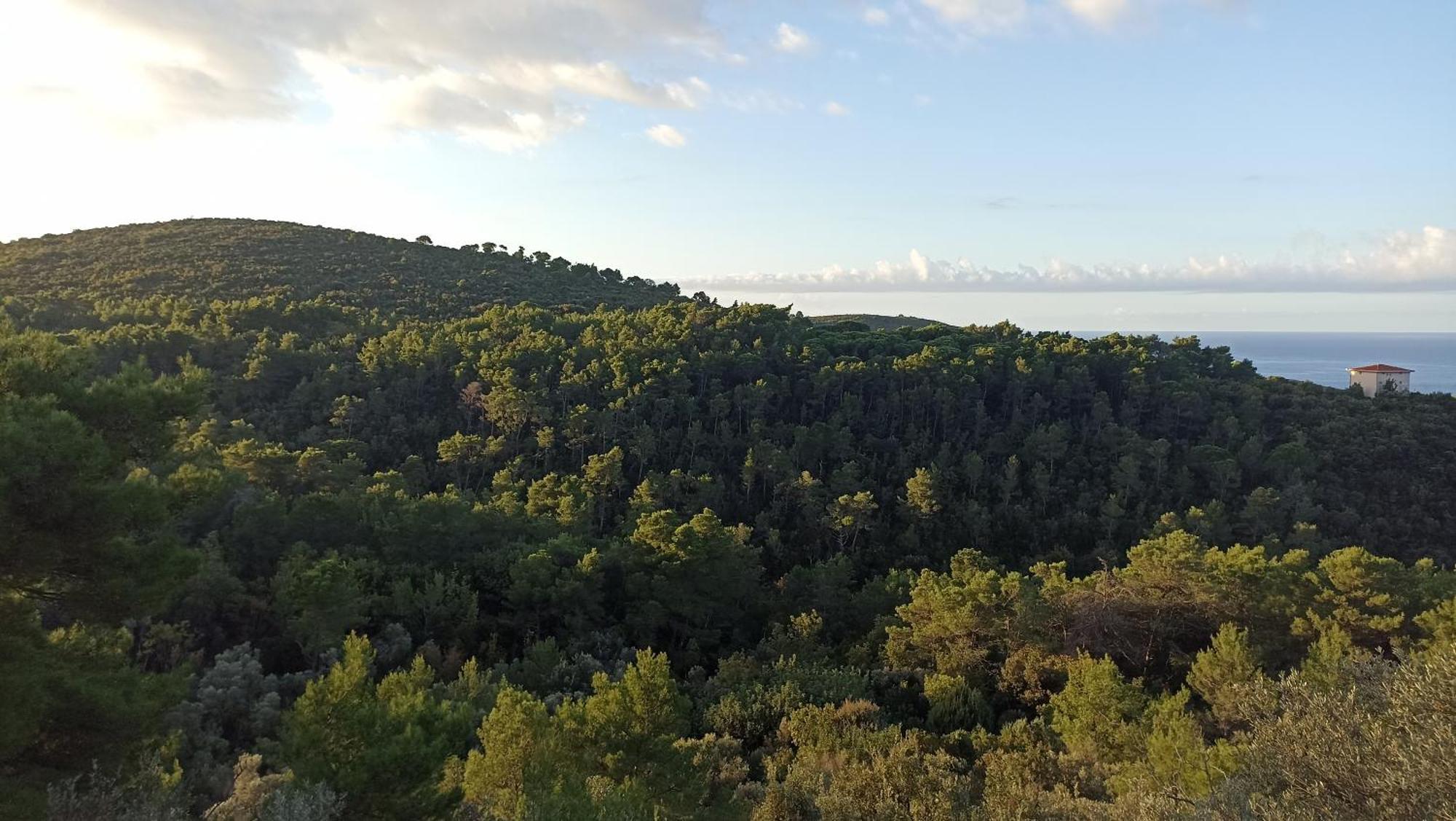 Appartamento Mongoose Herceg Novi Esterno foto