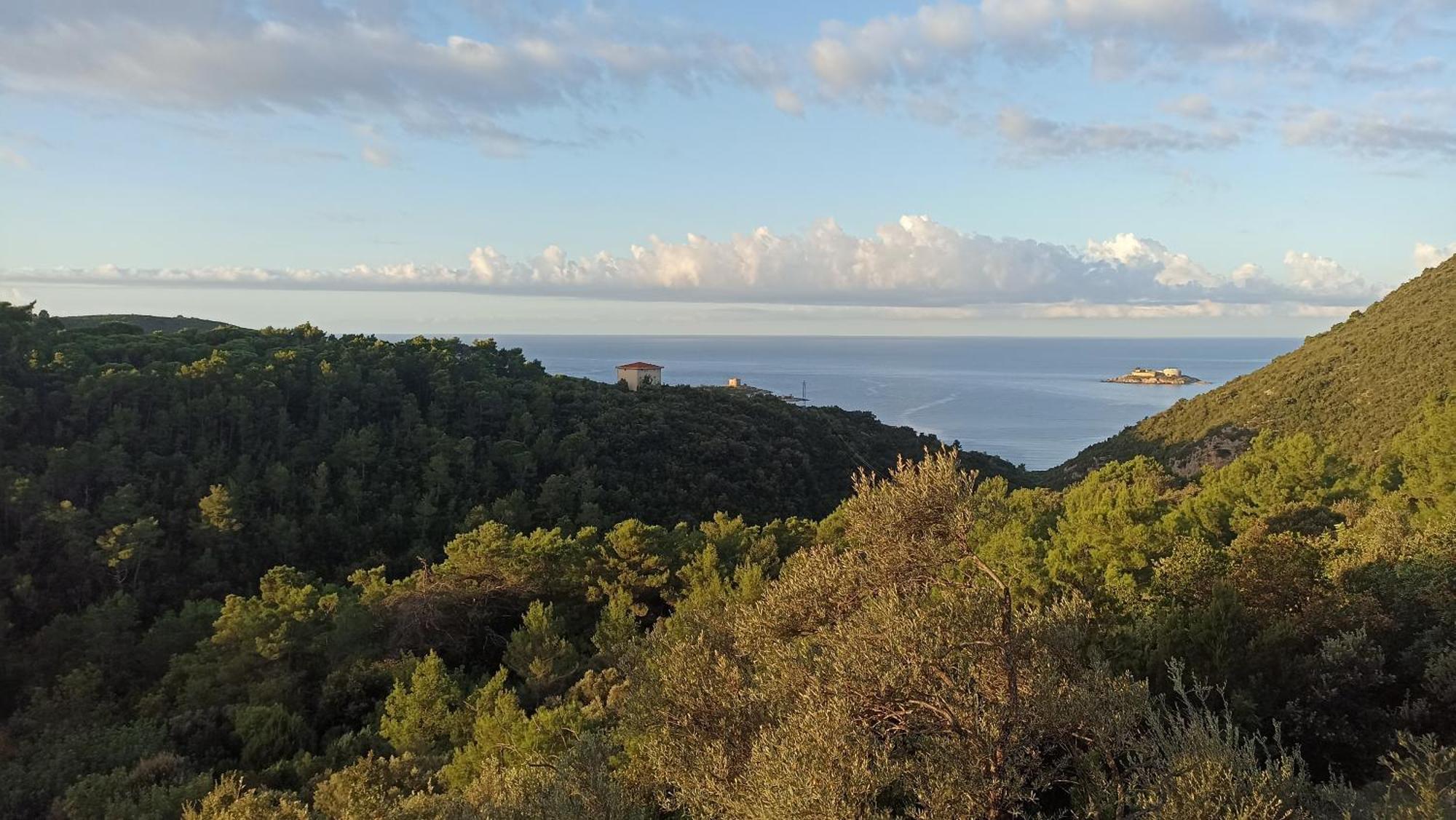 Appartamento Mongoose Herceg Novi Esterno foto