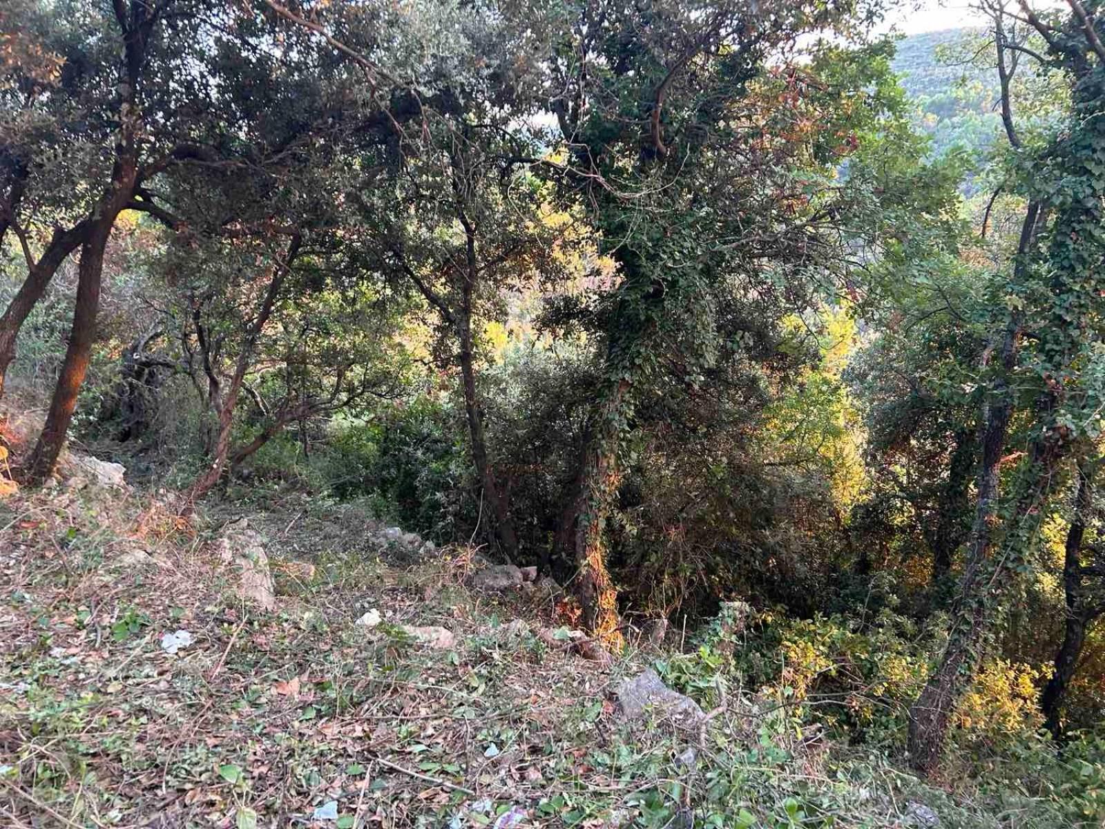 Appartamento Mongoose Herceg Novi Esterno foto