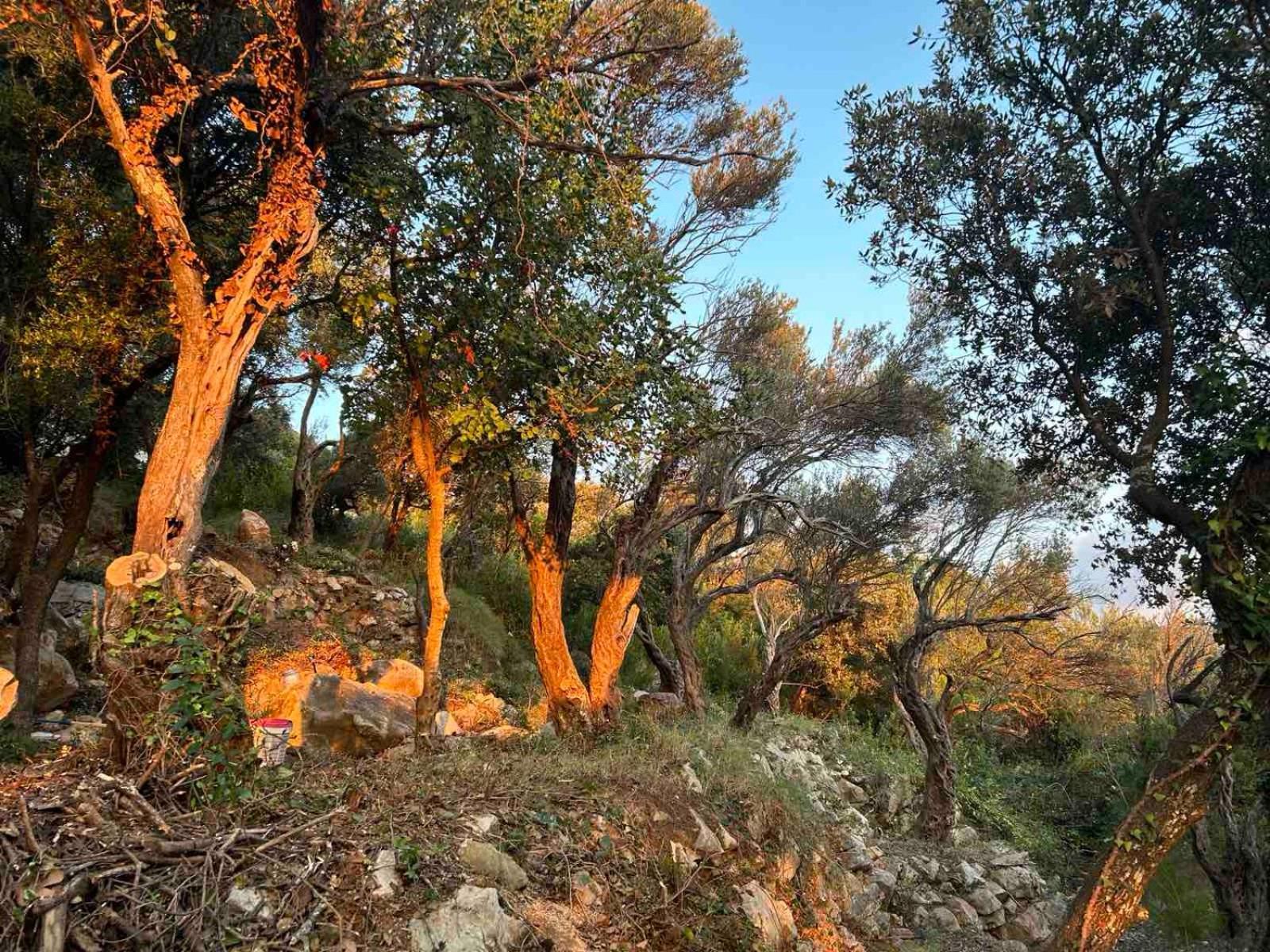 Appartamento Mongoose Herceg Novi Esterno foto