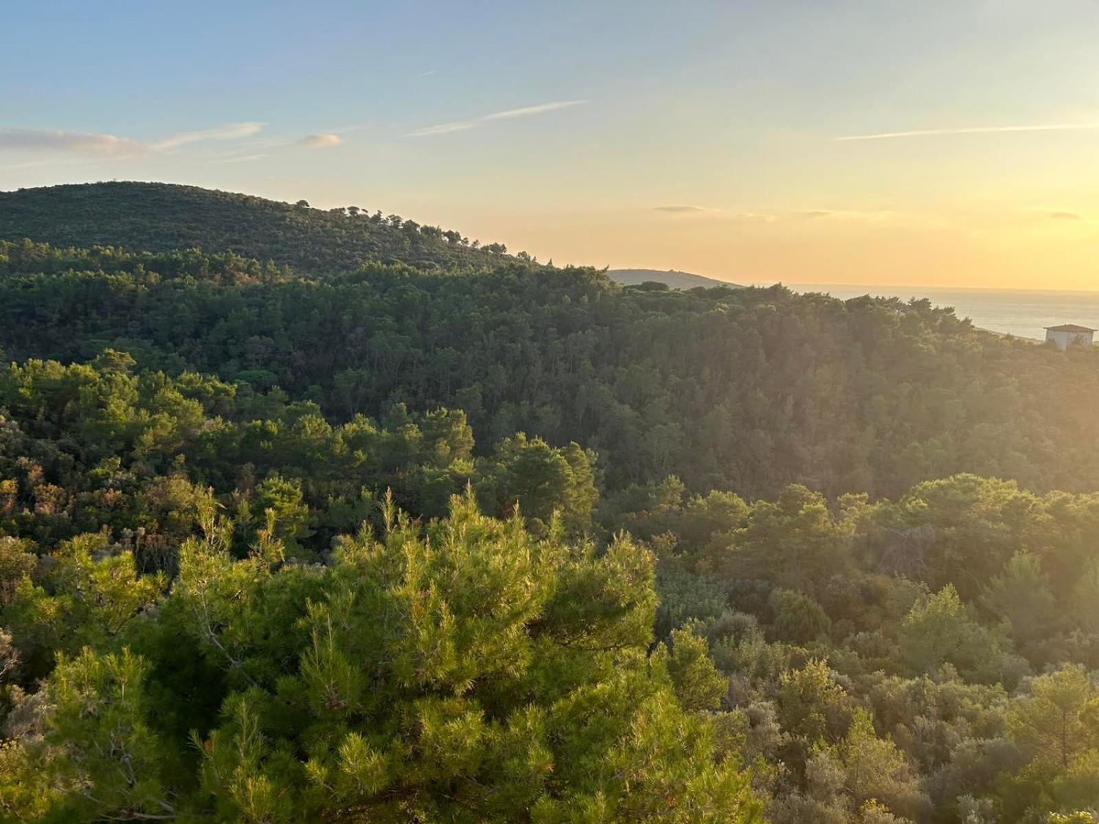 Appartamento Mongoose Herceg Novi Esterno foto
